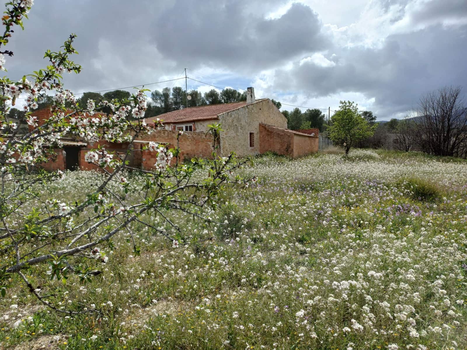 3 sypialnia Willa na sprzedaż w Jumilla - 87 000 € (Ref: 8691079)