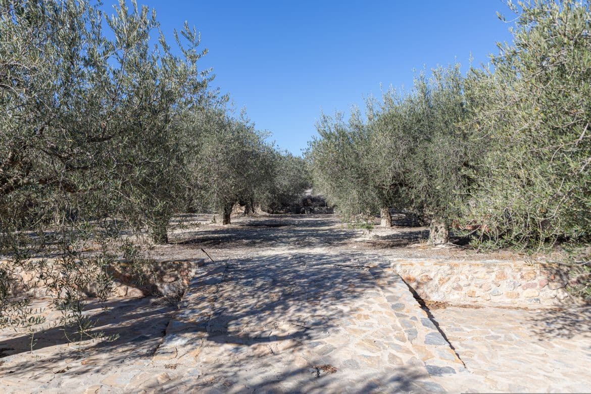 5 soveværelse Villa til salg i Fortuna med swimmingpool garage - € 494.999 (Ref: 8824601)