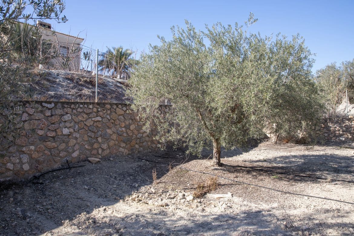 5 soveværelse Villa til salg i Fortuna med swimmingpool garage - € 494.999 (Ref: 8824601)