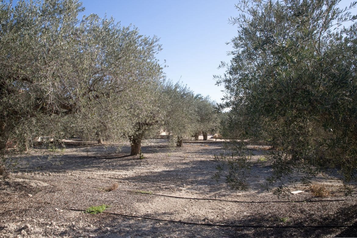 5 soveværelse Villa til salg i Fortuna med swimmingpool garage - € 494.999 (Ref: 8824601)