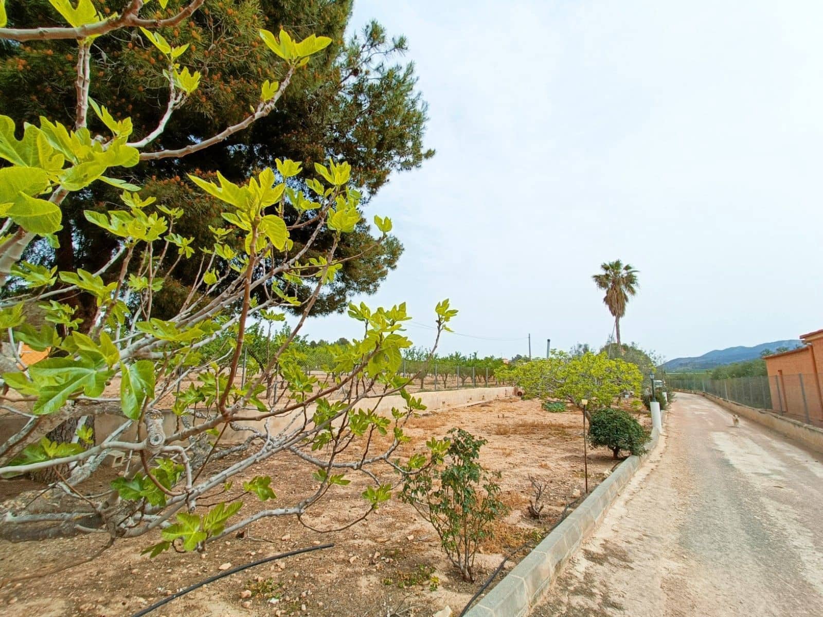 Chalet de 4 habitaciones en Hondón de los Frailes en venta - 180.000 € (Ref: 8982161)