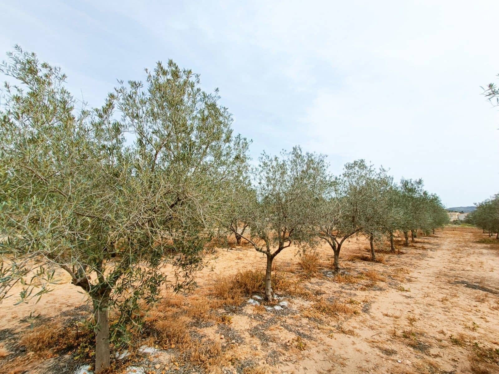 4 quarto Moradia para venda em Hondon de los Frailes - 180 000 € (Ref: 8982161)