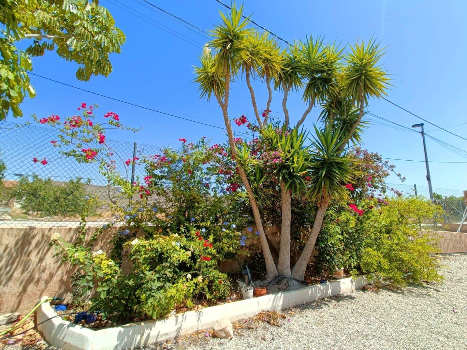 5 Zimmer Villa zu verkaufen in Abanilla mit Pool - 392.000 € (Ref: 9308254)