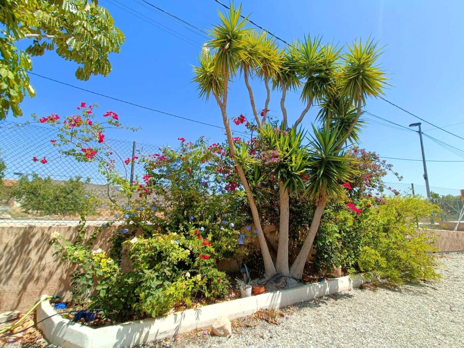 5 quarto Moradia para venda em Abanilla com piscina - 392 000 € (Ref: 9308254)
