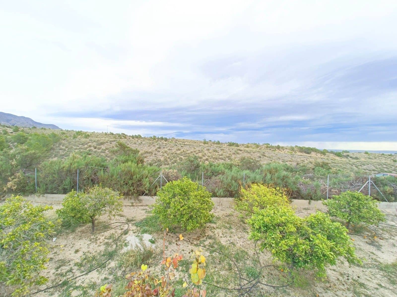 3 slaapkamer Villa te koop in Albatera met zwembad garage - € 259.950 (Ref: 9604603)