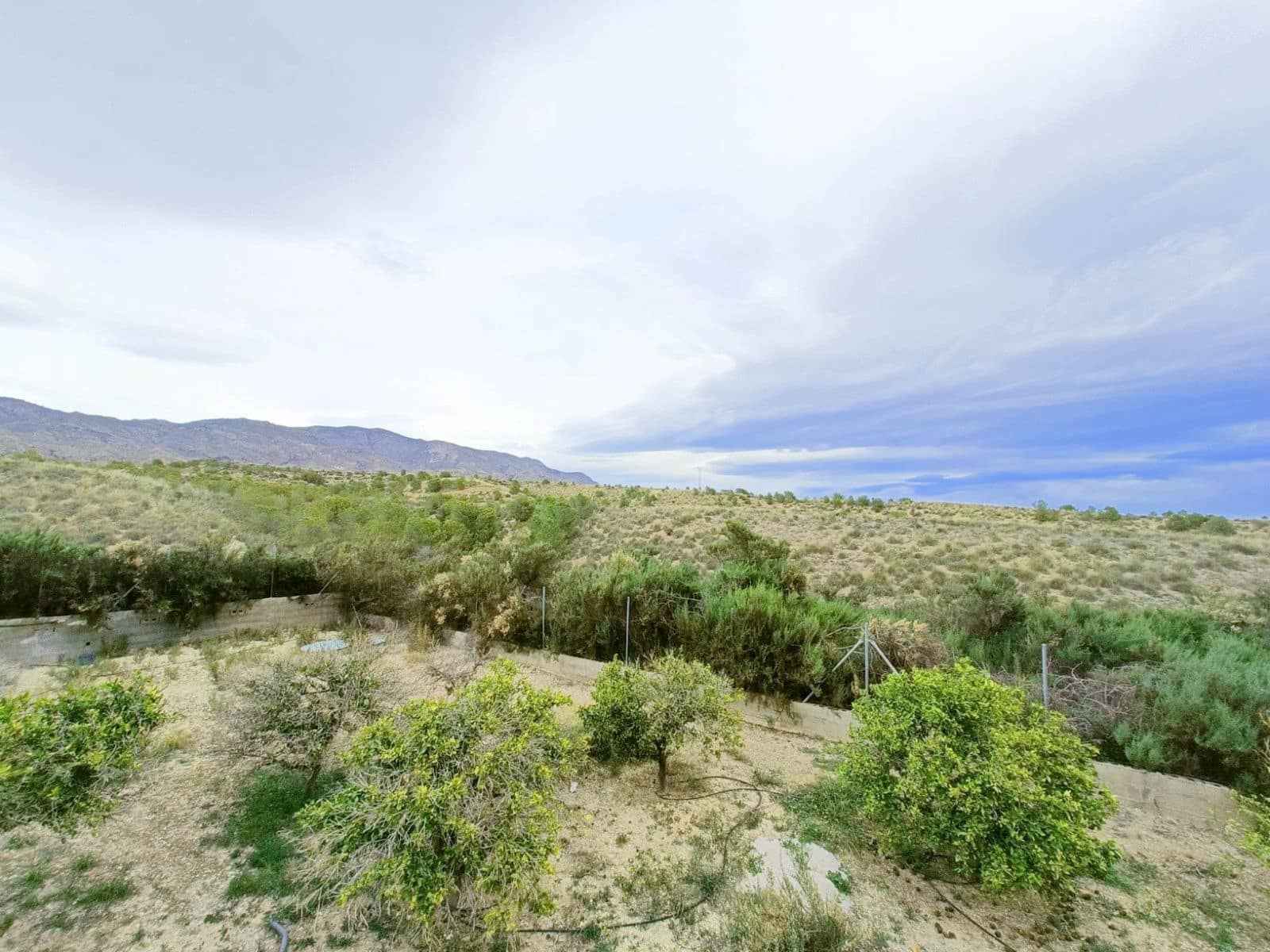 3 slaapkamer Villa te koop in Albatera met zwembad garage - € 259.950 (Ref: 9604603)