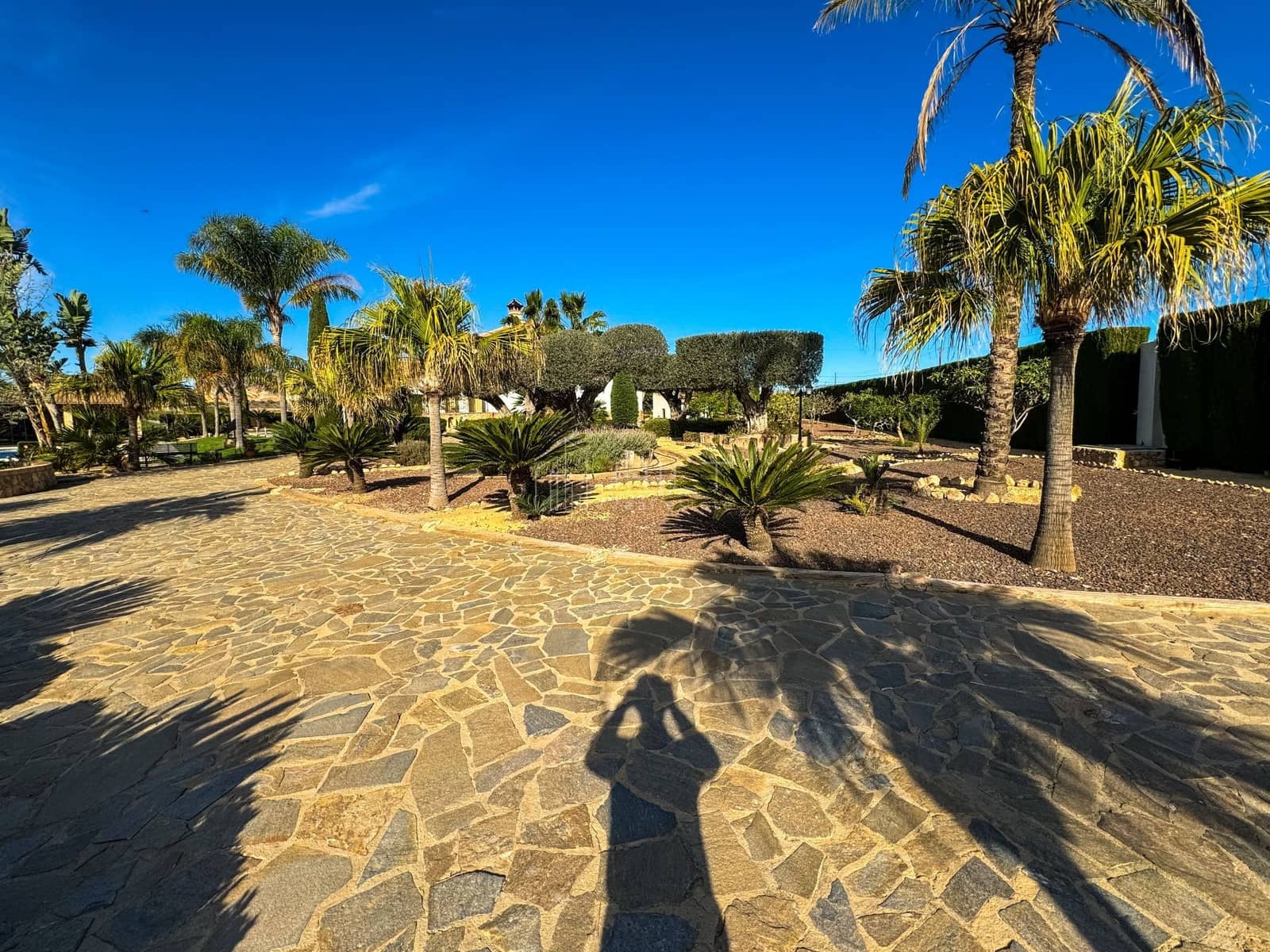 5 soveværelse Villa til salg i Algorfa med swimmingpool garage - € 850.000 (Ref: 9813031)
