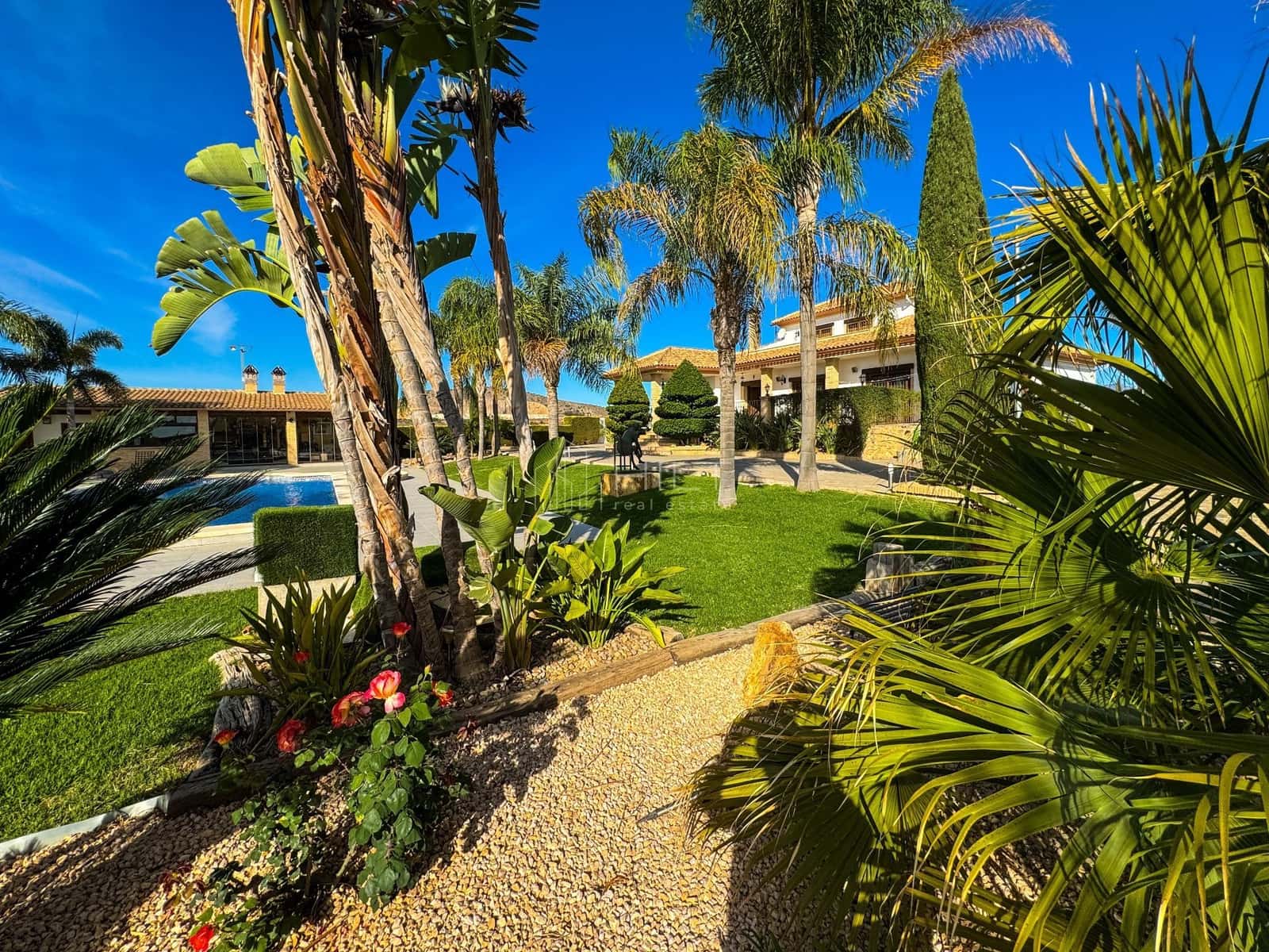 5 soveværelse Villa til salg i Algorfa med swimmingpool garage - € 850.000 (Ref: 9813031)