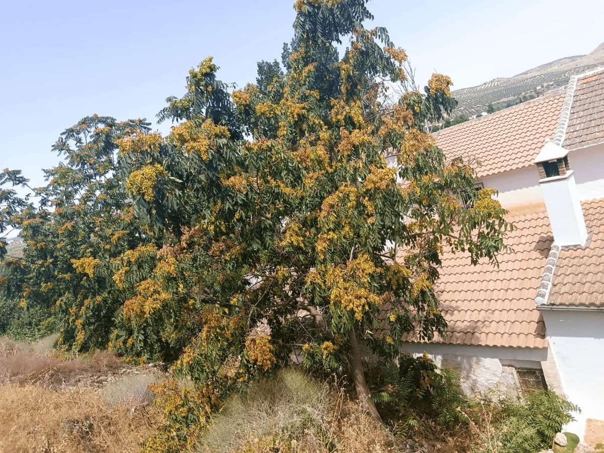 4 bedroom Townhouse for sale in Riofrio with garage - € 110,000 (Ref: 10054460)
