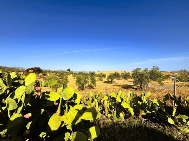 2 soveværelse Finca/Landehus til salg i Casarabonela med swimmingpool garage - € 125.000 (Ref: 10057616)