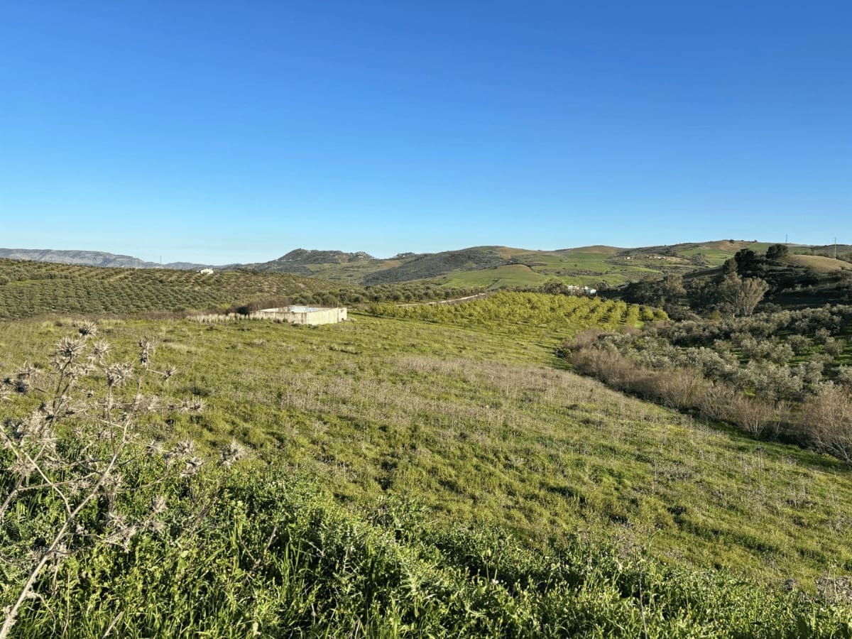 2 bedroom Finca/Country House for sale in Casarabonela - € 770,000 (Ref: 10057709)