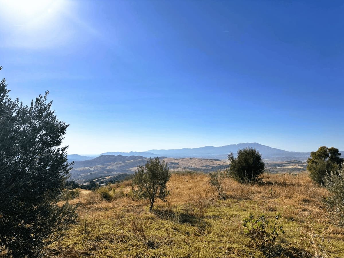 Finca/Country House for sale in Casarabonela - € 105,000 (Ref: 10074672)