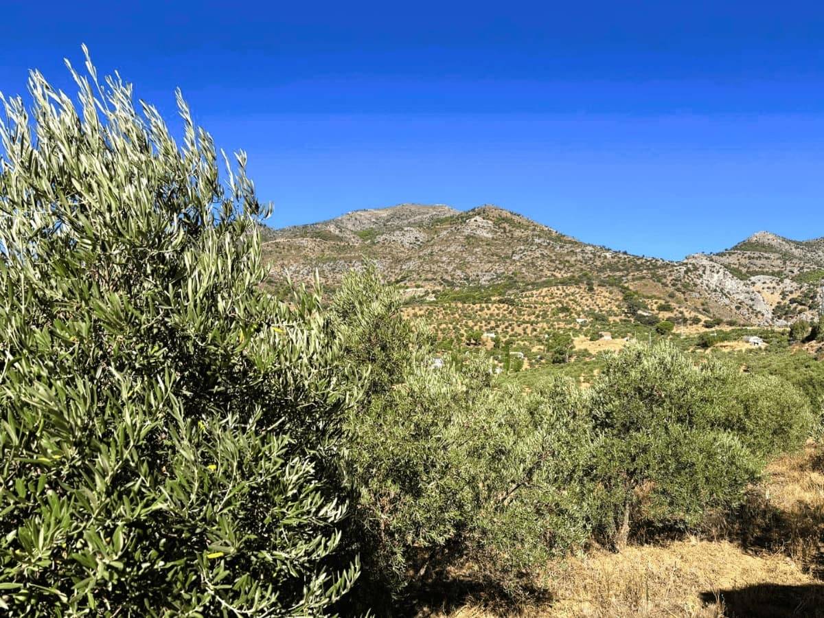 Finca/Country House for sale in Casarabonela - € 105,000 (Ref: 10074672)