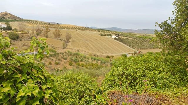 3 soveværelse Finca/Landehus til salg i Casarabonela - € 210.000 (Ref: 8541395)