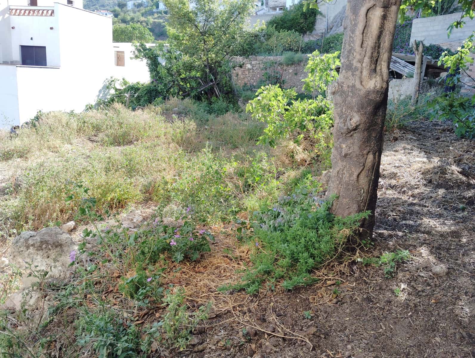 9 soveværelse Finca/Landehus til salg i Casarabonela med garage - € 395.000 (Ref: 8541751)