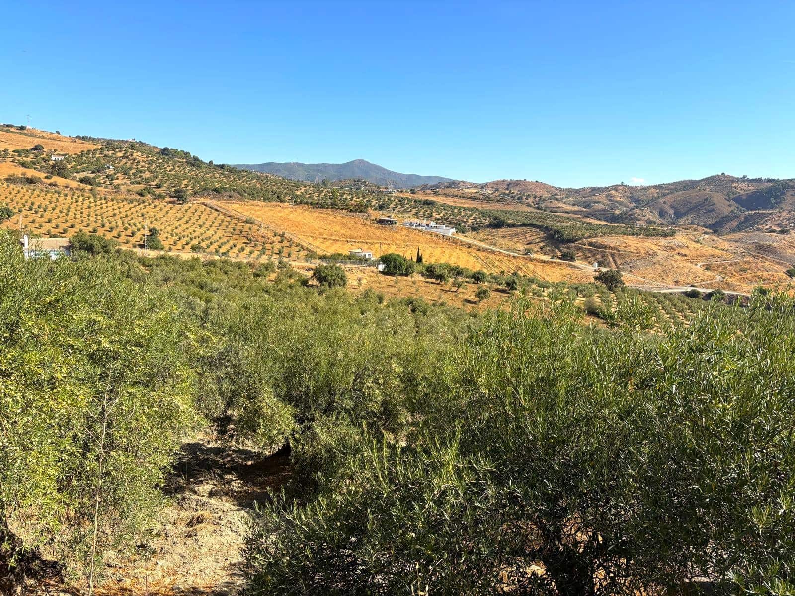 4 camera da letto Finca/Casa di Campagna in vendita in Casarabonela con piscina garage - 320.000 € (Rif: 9476257)