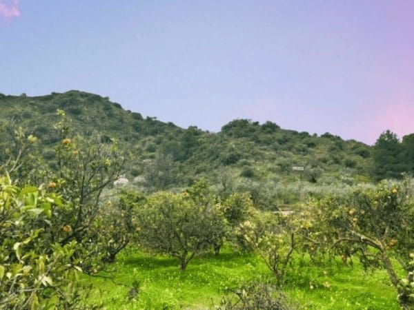 1 makuuhuone Maalaistalo myytävänä paikassa Ardales - 65 000 € (Ref: 9602819)