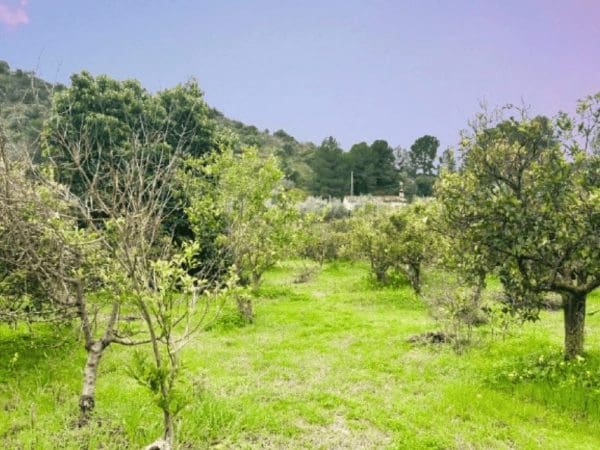 1 makuuhuone Maalaistalo myytävänä paikassa Ardales - 65 000 € (Ref: 9602819)