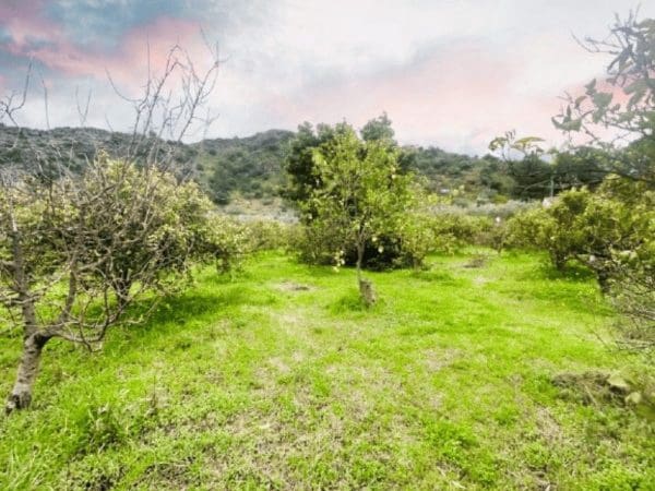 1 makuuhuone Maalaistalo myytävänä paikassa Ardales - 65 000 € (Ref: 9602819)