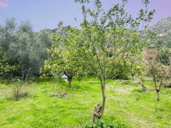 1 makuuhuone Maalaistalo myytävänä paikassa Ardales - 65 000 € (Ref: 9602819)