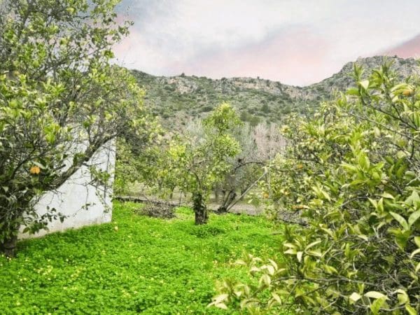 1 makuuhuone Maalaistalo myytävänä paikassa Ardales - 65 000 € (Ref: 9602819)