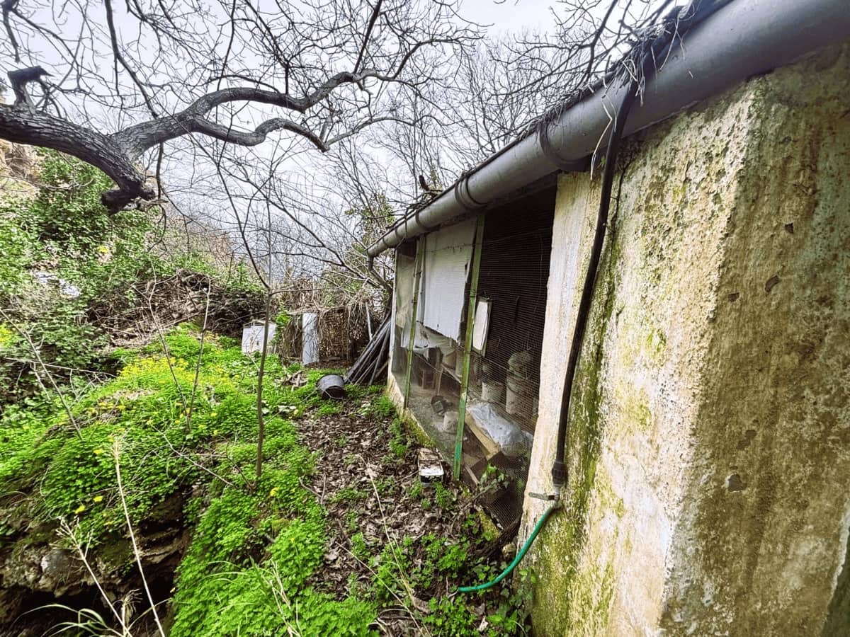 Undeveloped Land for sale in Casarabonela - € 20,000 (Ref: 9720831)