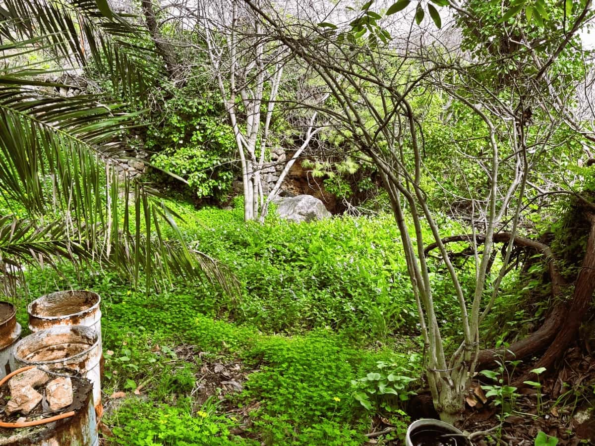 Undeveloped Land for sale in Casarabonela - € 20,000 (Ref: 9720831)