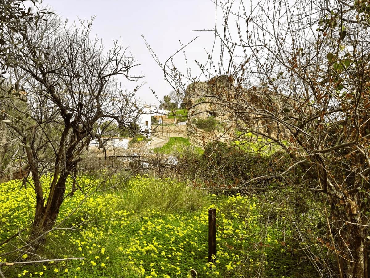 Undeveloped Land for sale in Casarabonela - € 20,000 (Ref: 9720831)