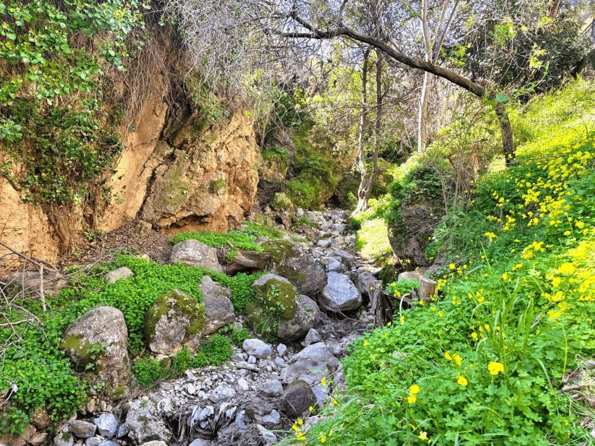 Undeveloped Land for sale in Casarabonela - € 20,000 (Ref: 9720831)