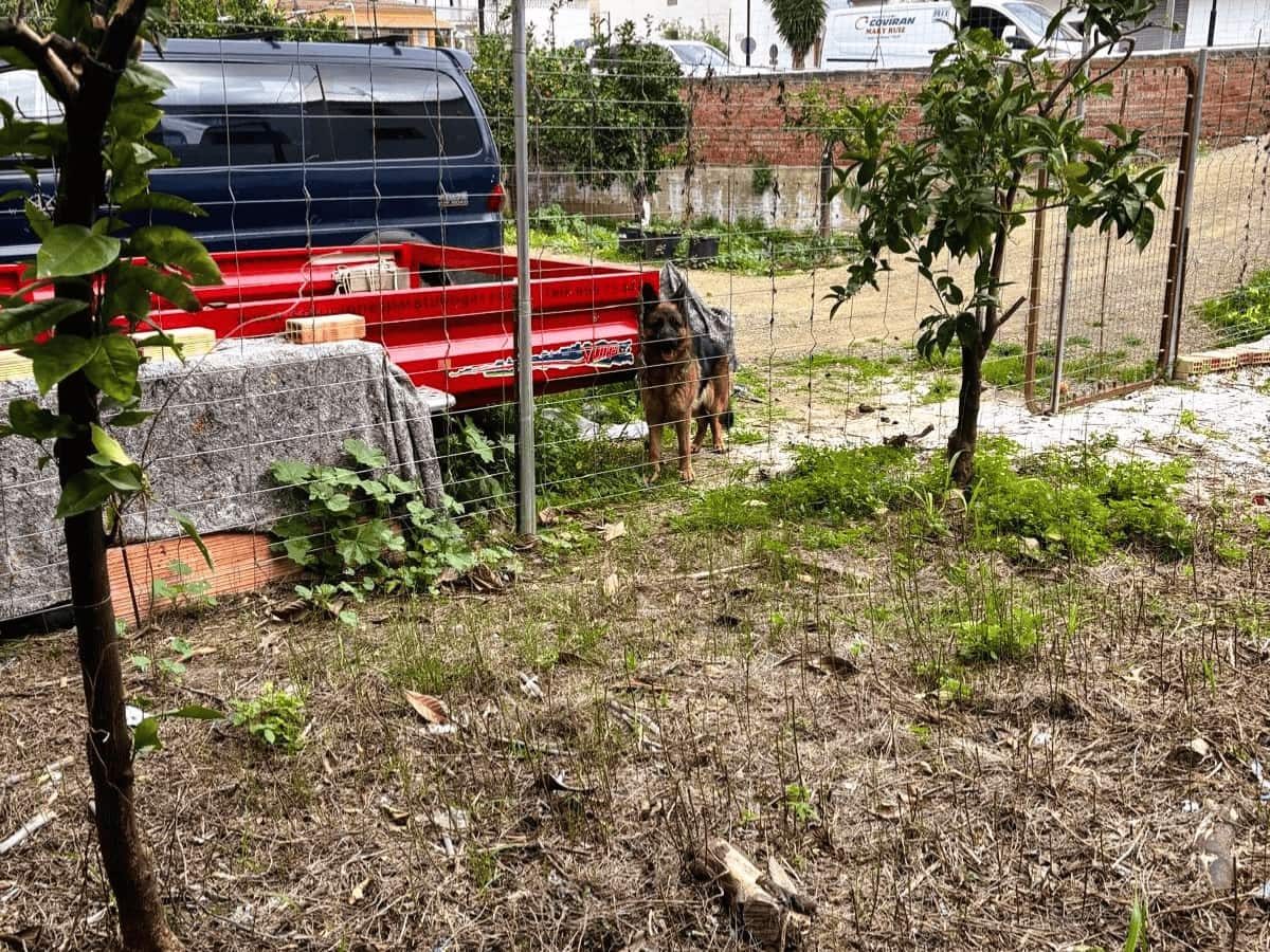 Solar/Parcela en Tolox en venta - 65.000 € (Ref: 9819532)