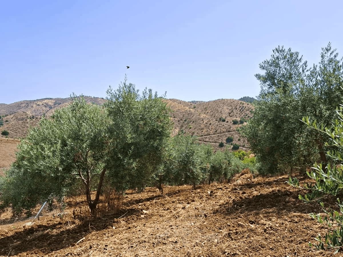 1 Zimmer Finca/Landgut zu verkaufen in Pizarra mit Pool - 168.000 € (Ref: 9937287)
