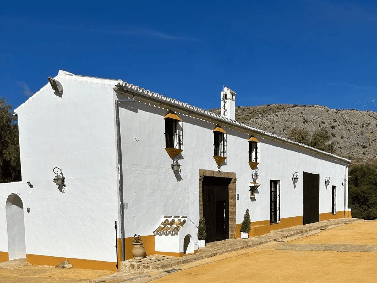 12 bedroom Finca/Country House for sale in Teba with pool - € 1,800,000 (Ref: 9956646)