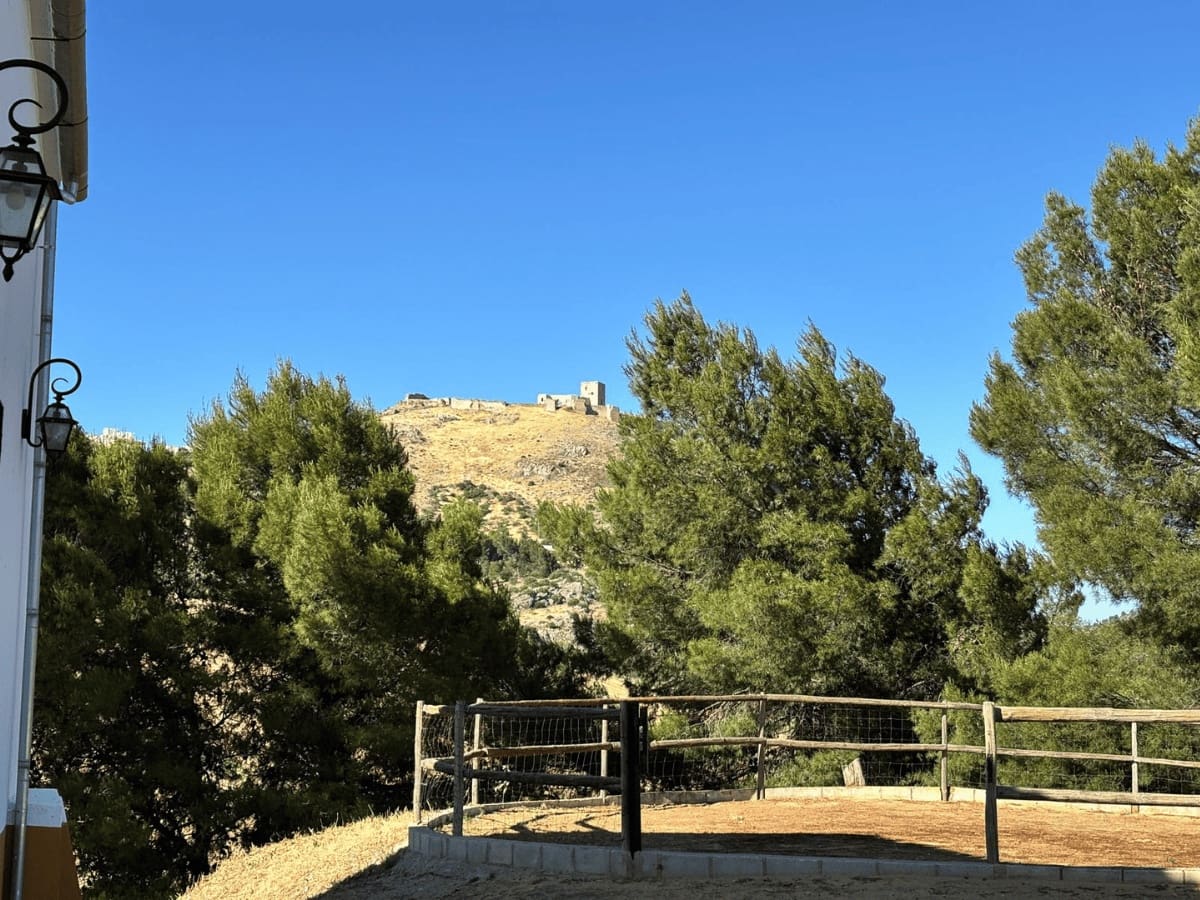 12 bedroom Finca/Country House for sale in Teba with pool - € 1,800,000 (Ref: 9956646)