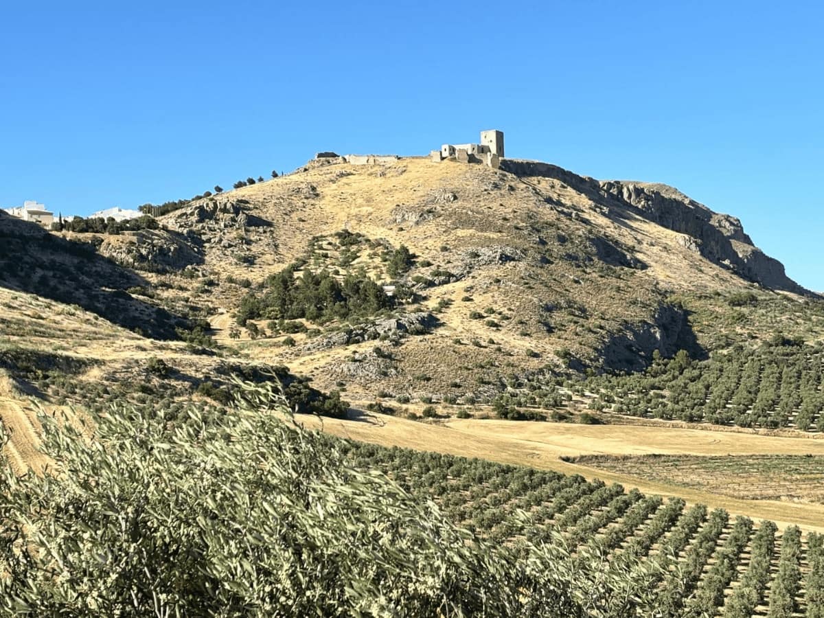 12 bedroom Finca/Country House for sale in Teba with pool - € 1,800,000 (Ref: 9956646)