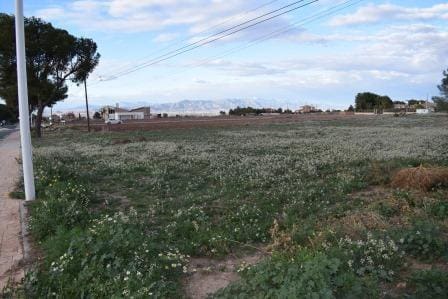 Byggetomt til salgs i Purias - € 135 000 (Ref: 8246095)