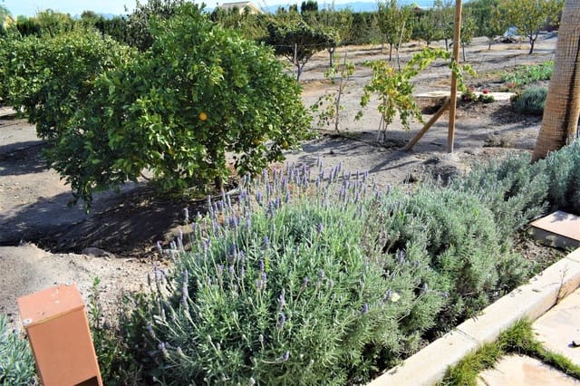 5 bedroom Villa for sale in Puerto Lumbreras with pool garage - € 839,900 (Ref: 8246105)