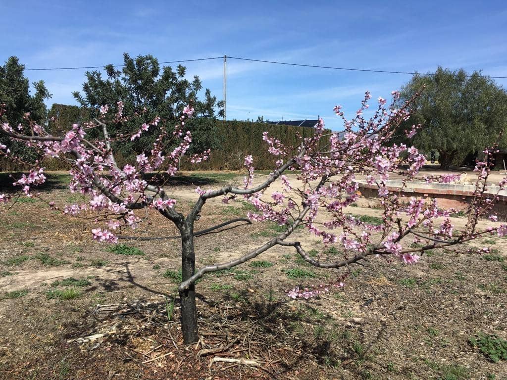 4 sypialnia Willa na sprzedaż w Lorca z basenem garażem - 990 000 € (Ref: 8246115)