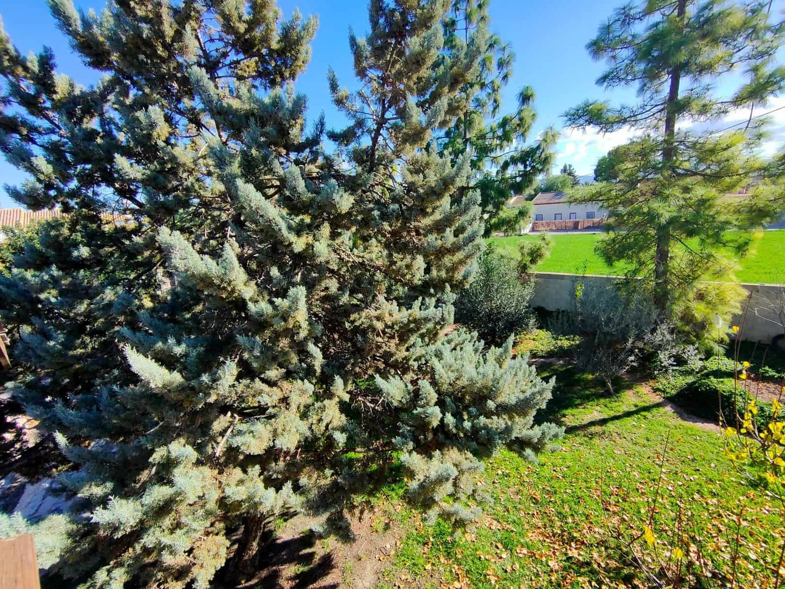 4 sypialnia Willa na sprzedaż w Lorca z basenem garażem - 990 000 € (Ref: 8246115)