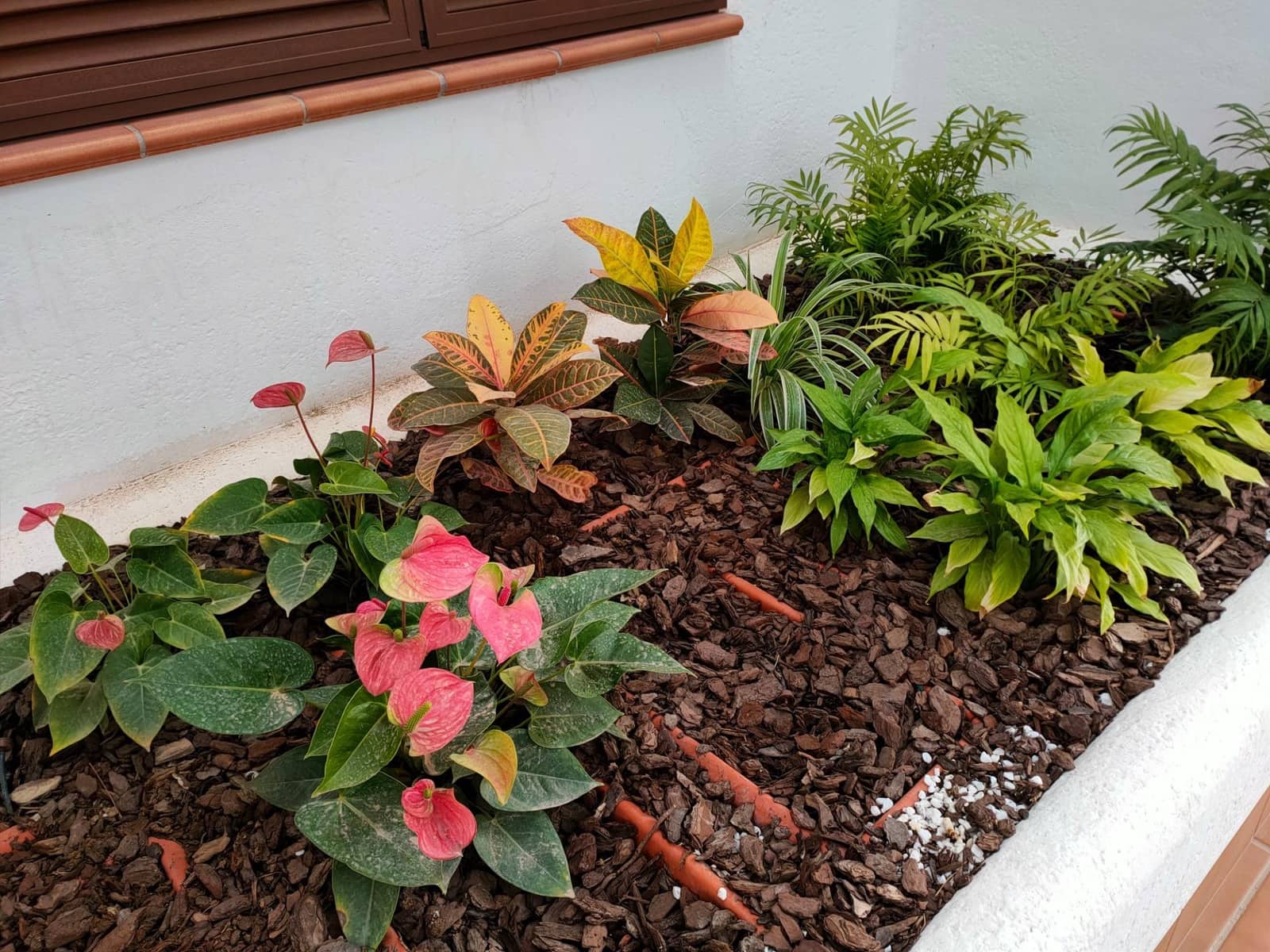 2 bedroom Flat for sale in San Juan de los Terreros with pool - € 211,000 (Ref: 8246126)