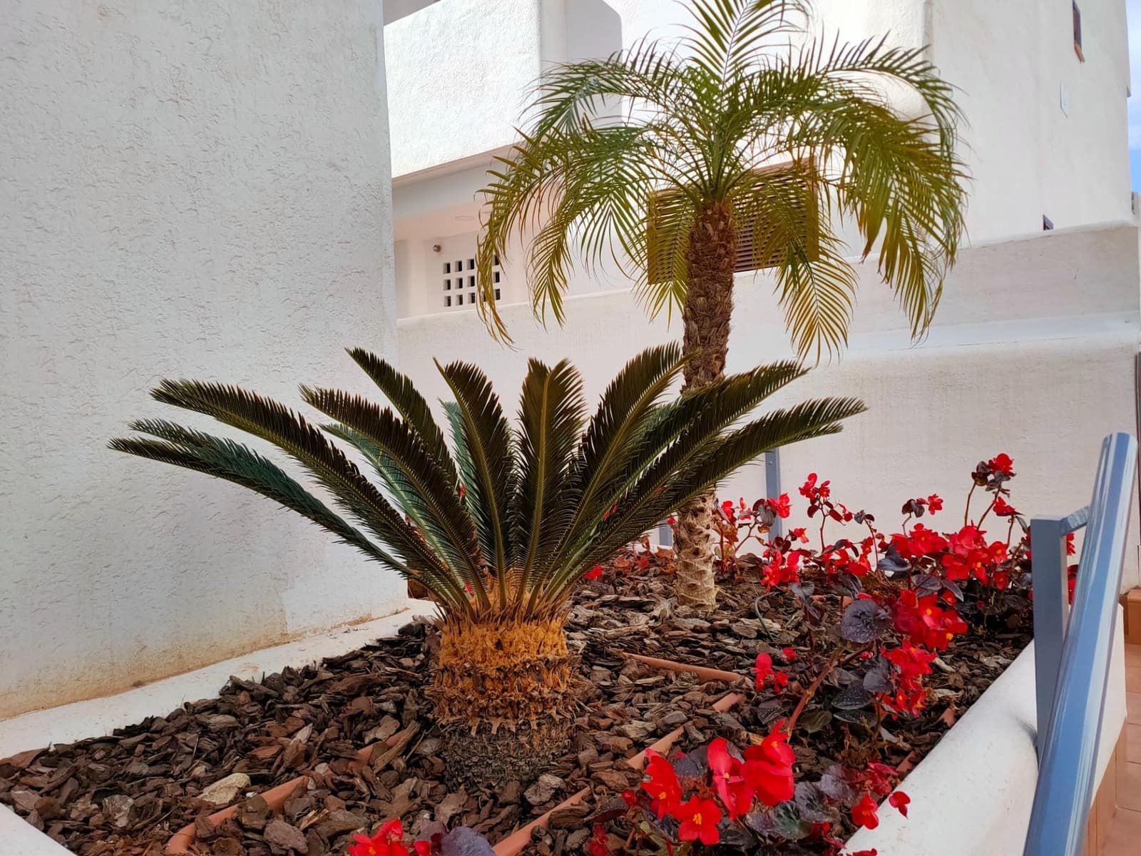 2 bedroom Flat for sale in San Juan de los Terreros with pool - € 211,000 (Ref: 8246126)