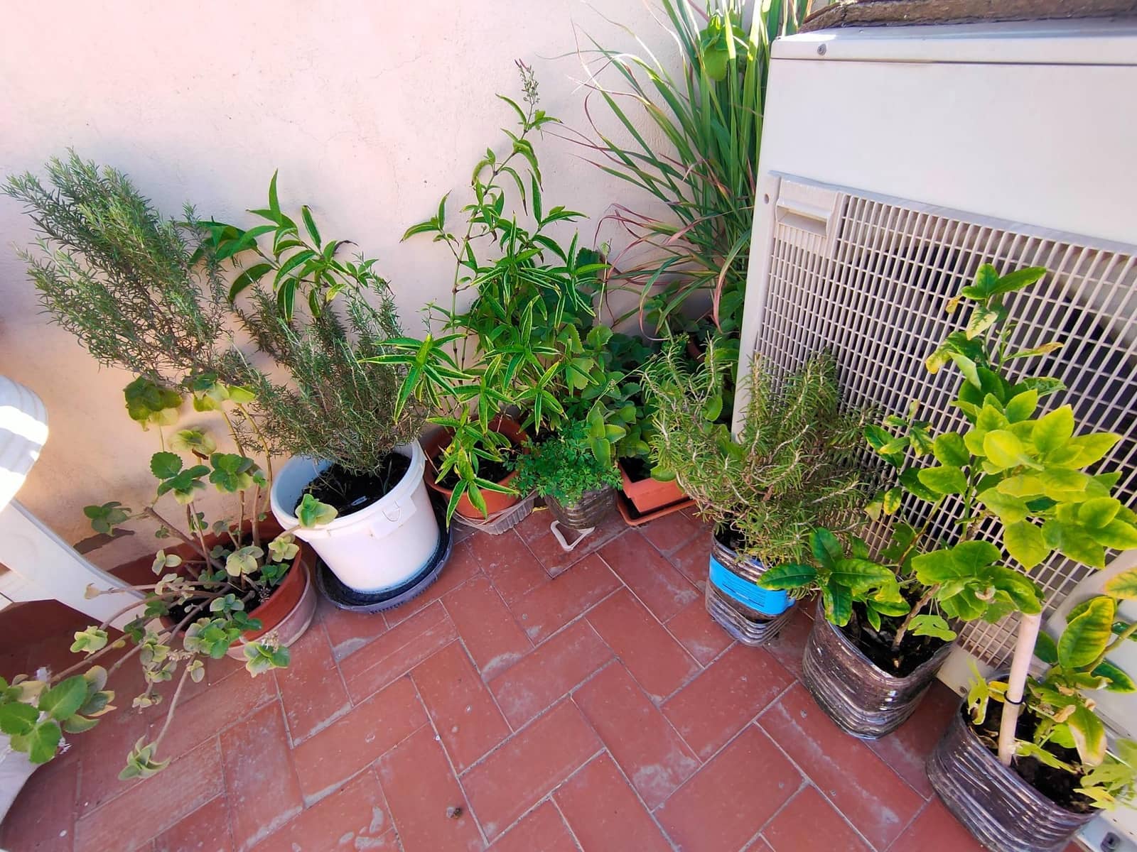 4 sovrum Kommersiell till salu i Cuevas del Almanzora - 275 000 € (Ref: 8485502)