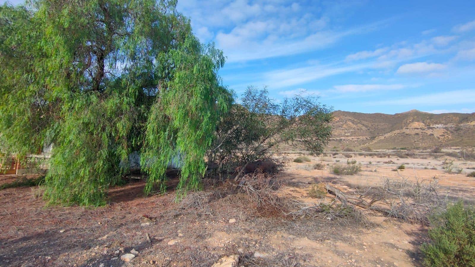 4 chambre Finca/Maison de Campagne à vendre à San Juan de los Terreros avec garage - 119 900 € (Ref: 8639392)