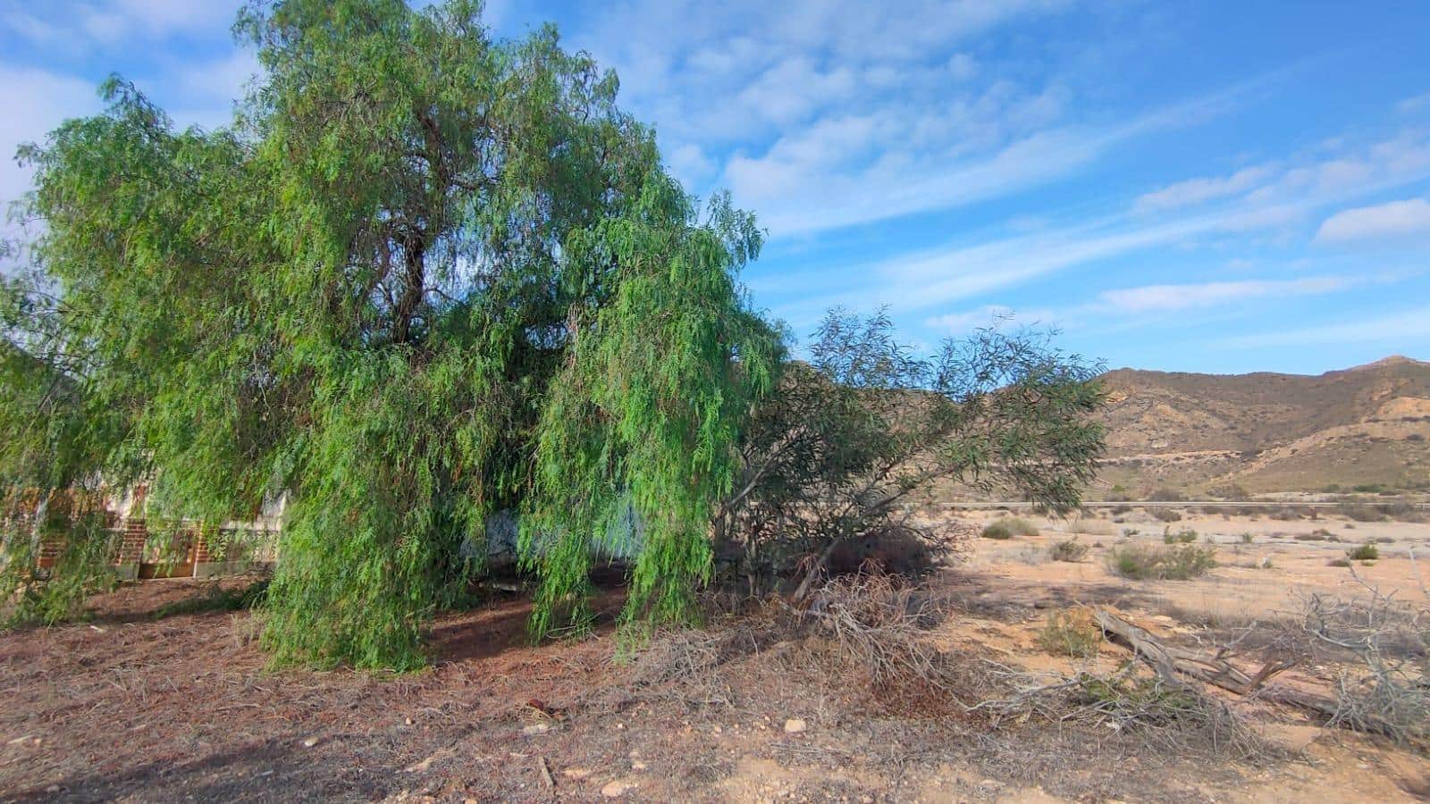 4 chambre Finca/Maison de Campagne à vendre à San Juan de los Terreros avec garage - 119 900 € (Ref: 8639392)