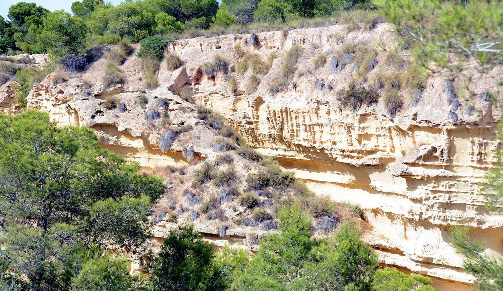 4 soveværelse Villa til salg i Pinar de Campoverde med swimmingpool - € 649.000 (Ref: 8839164)