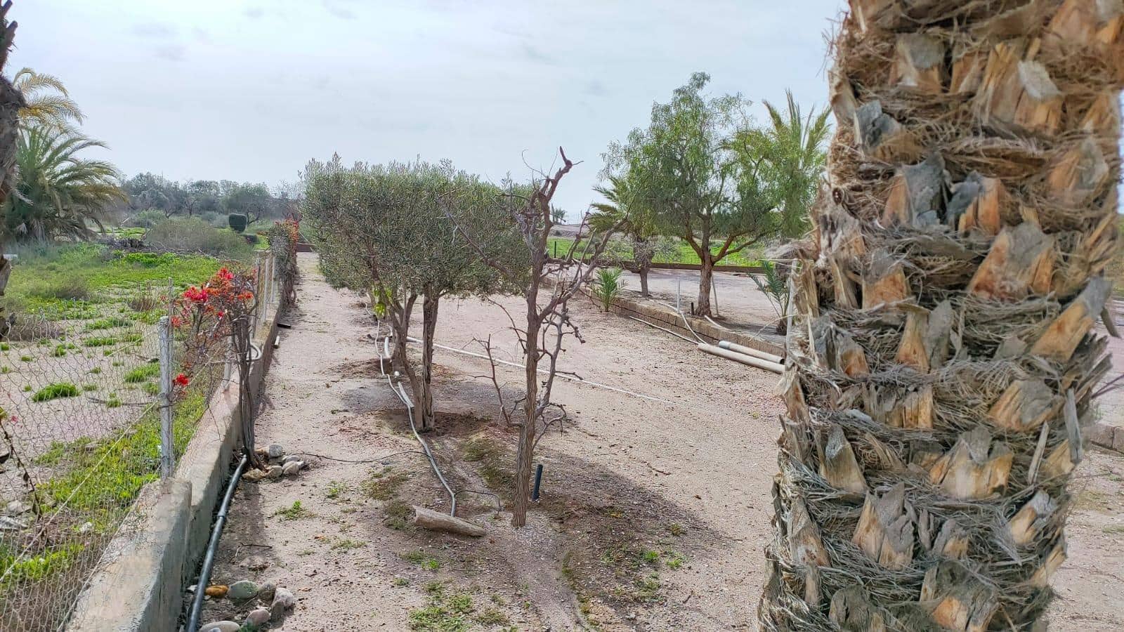 3 soveværelse Byhus til salg i San Juan de los Terreros med garage - € 263.000 (Ref: 8886065)