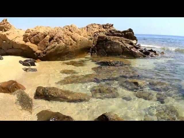 Företag till salu i Villaricos, Cuevas del Almanzora - 550 000 € (Ref: 8992413)