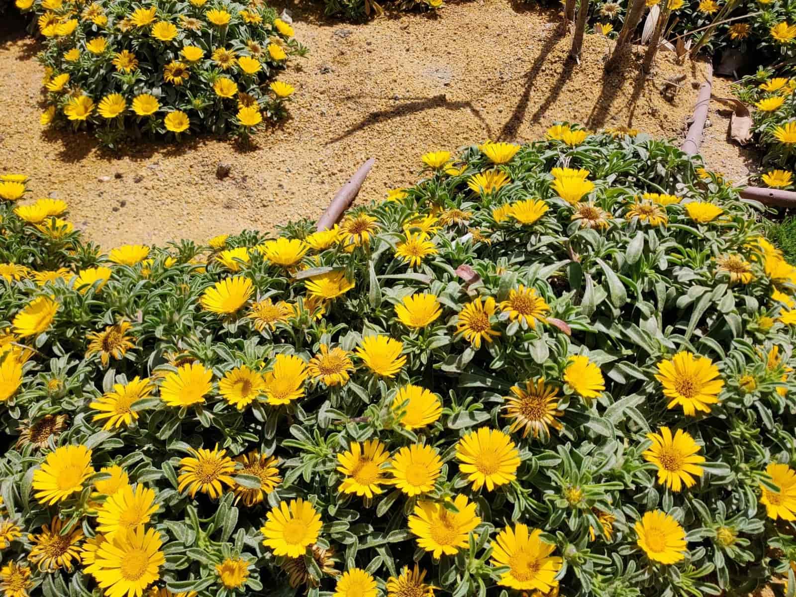 1 chambre Appartement à vendre à San Juan de los Terreros - 149 900 € (Ref: 9068839)