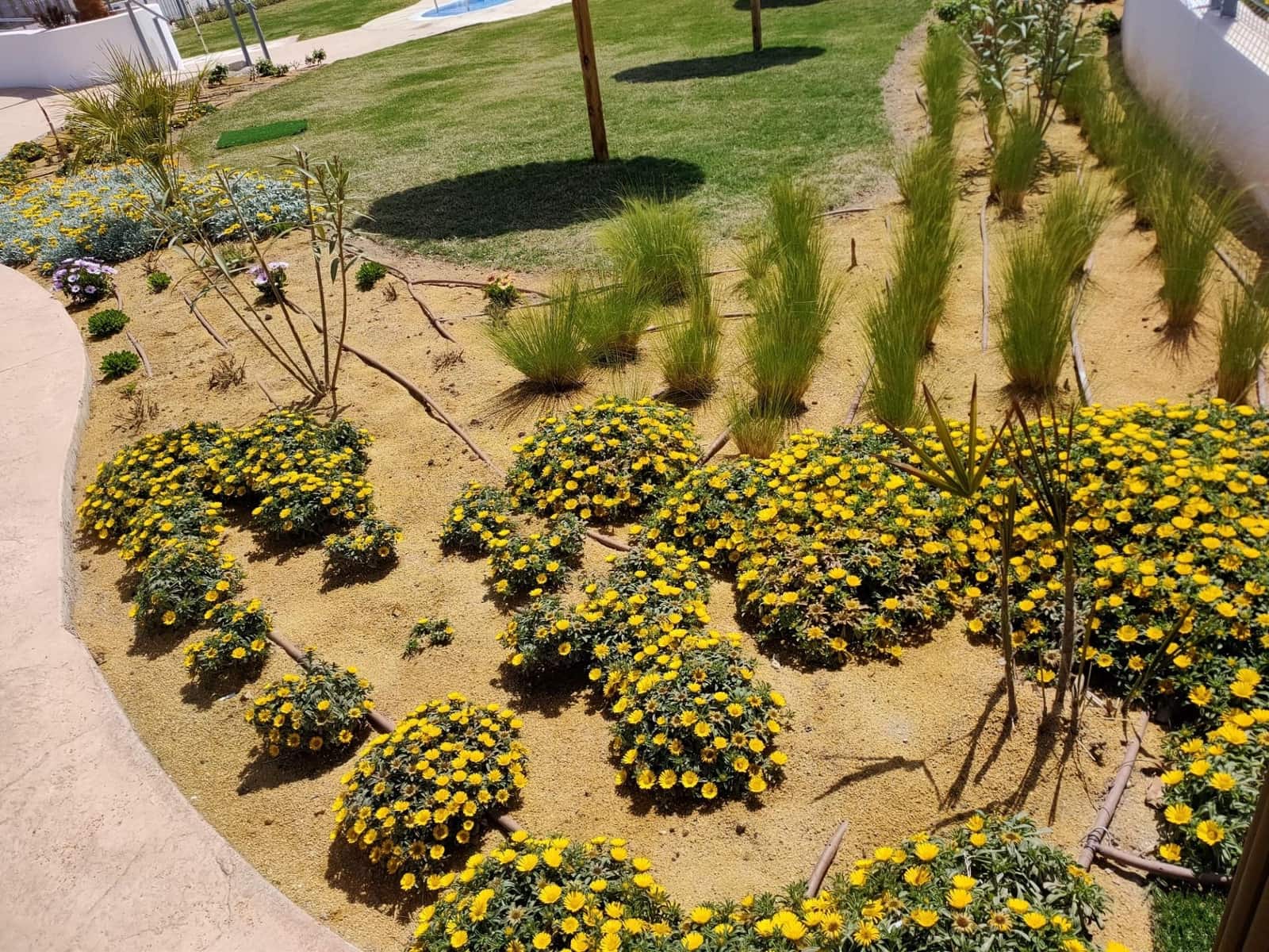 1 chambre Appartement à vendre à San Juan de los Terreros - 149 900 € (Ref: 9068839)