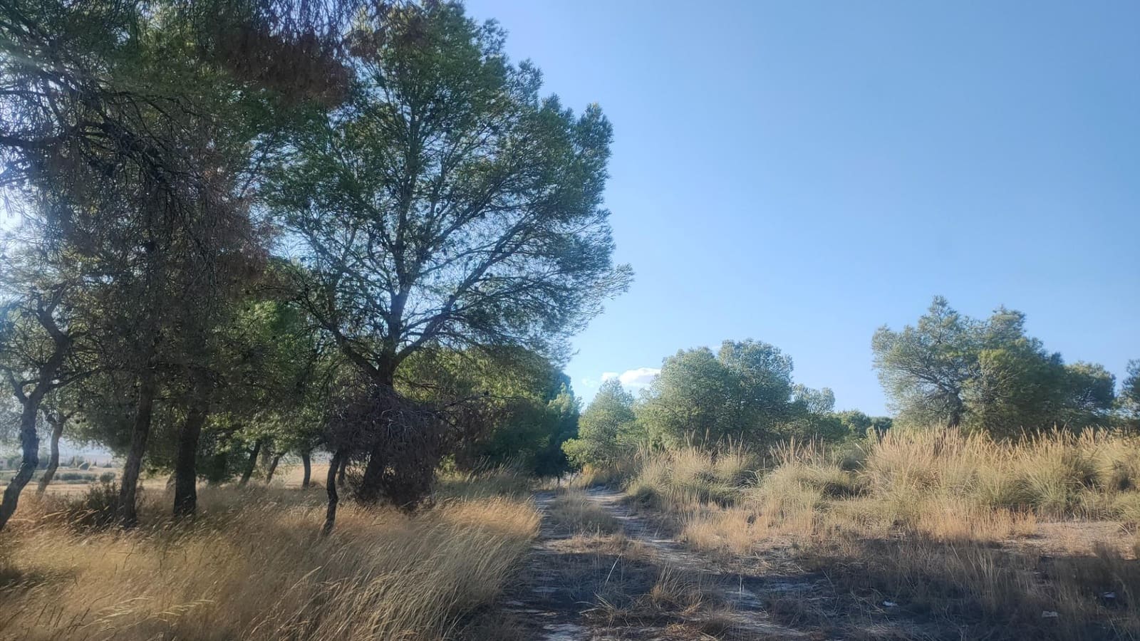 4 makuuhuone Huoneisto myytävänä paikassa Lorca mukana 
autotalli - 109 900 € (Ref: 9272636)