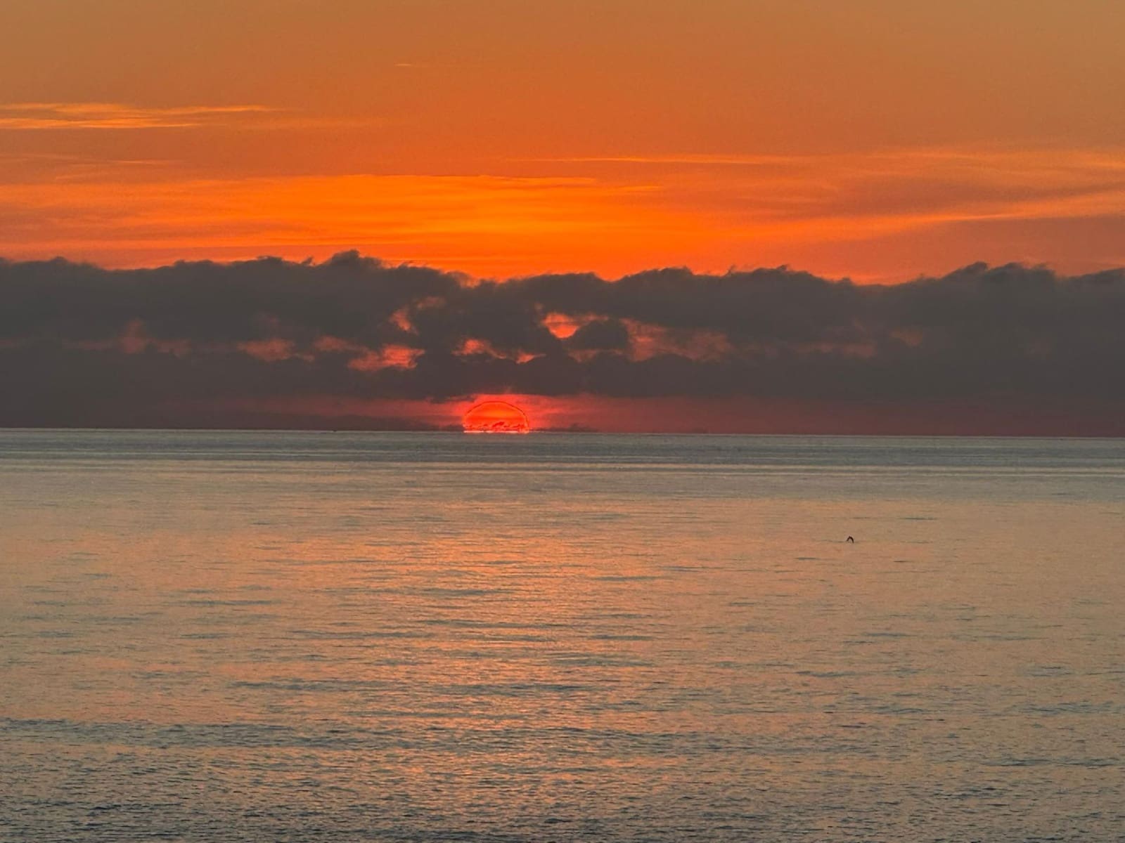 4 sovrum Semi-fristående Villa till salu i Cuevas del Almanzora med pool garage - 1 070 000 € (Ref: 9435010)